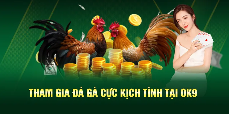 Đá Gà OK9 – Trải Nghiệm Đấu Trường Kịch An Toàn Và Minh Bạch